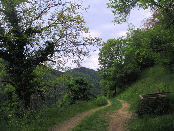 Foto: Andreas Koller / Klettersteigtour / Klettersteig Rabenstein (697m) / 11.06.2021 01:35:25