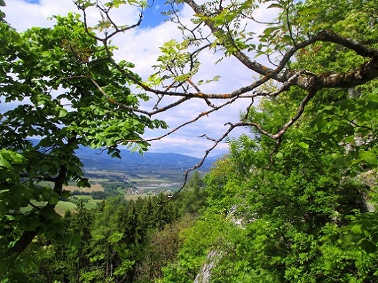 Foto: Andreas Koller / Klettersteigtour / Klettersteig Rabenstein (697m) / 11.06.2021 01:32:45