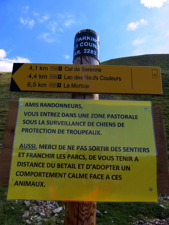 Foto: Andreas Koller / Wandertour / Zur Zackenkrone der la Mortice (3186m) / 03.08.2021 23:51:23