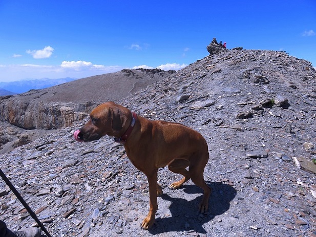 Foto: Andreas Koller / Wandertour / Zur Zackenkrone der la Mortice (3186m) / 03.08.2021 23:44:01