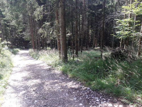 Foto: Rupert Gredler / Wandertour / Eine Vormauersteinrunde / Jetzt gehts los. / 09.08.2021 10:18:46