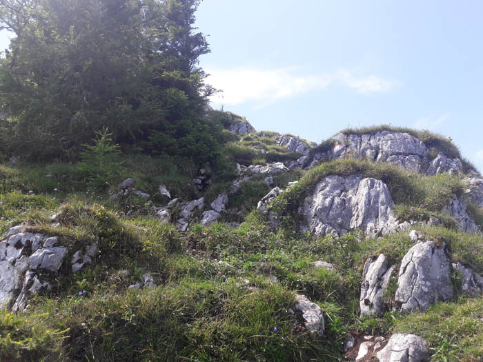 Foto: Rupert Gredler / Wandertour / Eine Vormauersteinrunde / Ein wenig Kraxeln zum Gipfel. / 09.08.2021 10:20:06