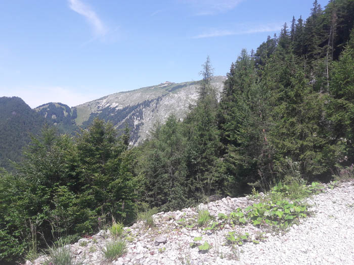 Foto: Rupert Gredler / Wandertour / Eine Vormauersteinrunde / Blick zum Schafberg / 09.08.2021 10:17:15