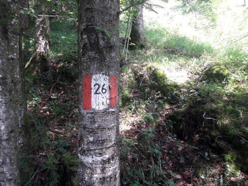 Foto: Rupert Gredler / Wandertour / Eine Vormauersteinrunde / Nr.26 / 09.08.2021 10:18:17