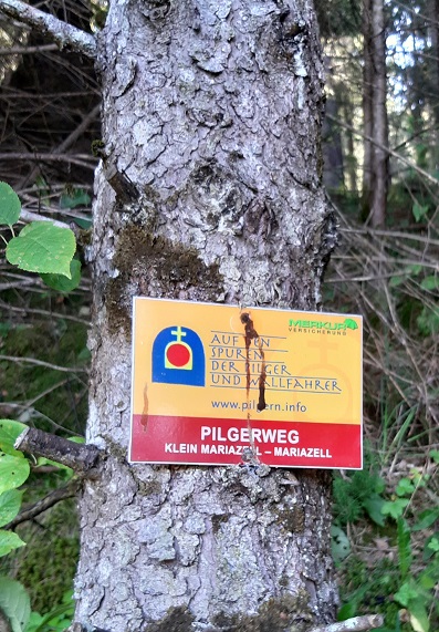 Foto: Wolfgang Dröthandl / Wandertour / Aus dem Mürztal auf die Stanglalpe (Stanglalm) / Aufstieg auf dem Mariazeller Pilgerweg 06A - aber in Gegenrichtung... / 15.08.2021 19:16:47