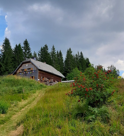 Foto: Wolfgang Dröthandl / Wandertour / Aus dem Mürztal auf die Stanglalpe (Stanglalm) / Abgang von der Stanglalm Richtung Wartberg / 15.08.2021 19:11:55