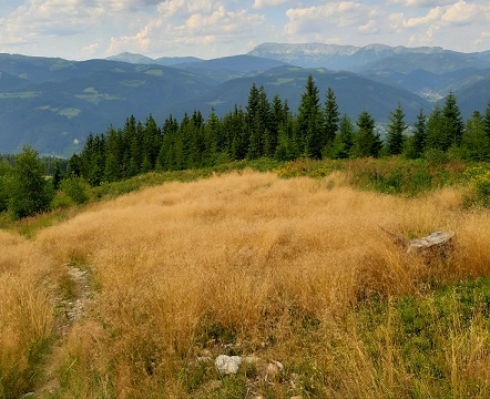 Foto: Wolfgang Dröthandl / Wandertour / Aus dem Mürztal auf die Stanglalpe (Stanglalm) / noch weit weg: Ruine Lichtenegg ober Wartberg, Mitterdorf, Veitsch (von links) / 15.08.2021 19:11:13