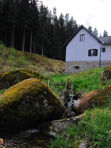 Foto: Andreas Koller / Wandertour / Romantische Hundertwasser-Tour und Hoher Stein (659m) / Von Utissenbachmühle auf den Hohen Stein / 04.09.2021 16:20:24