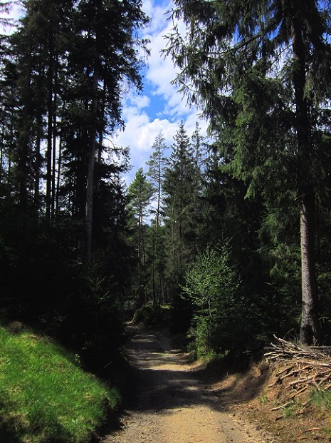 Foto: Andreas Koller / Wandertour / Romantische Hundertwasser-Tour und Hoher Stein (659m) / 04.09.2021 16:19:14