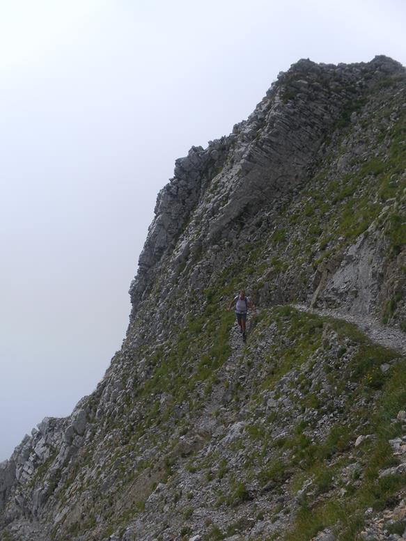 Foto: Wolfgang Lauschensky / Wandertour / Kollinkofel oder Creta di Collina 2691m vom Plöckenpass  / steiler Rinnenpfad  / 17.09.2021 23:06:25