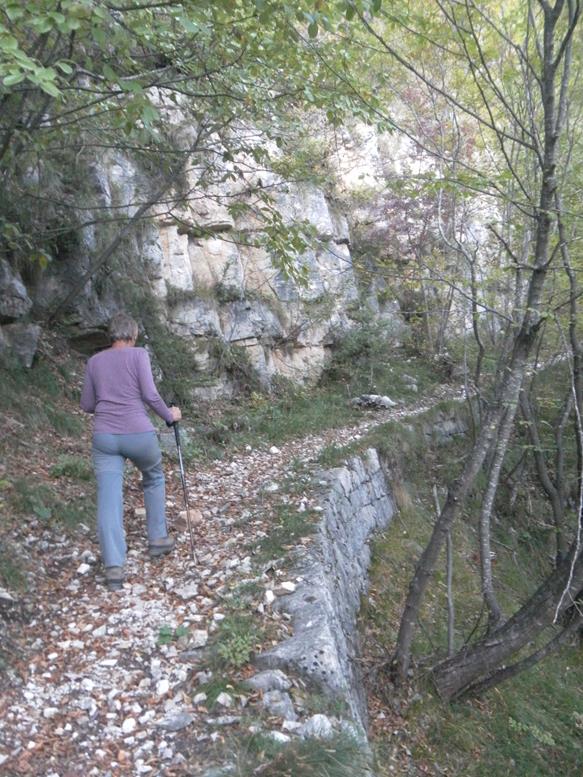 Foto: Wolfgang Lauschensky / Wandertour / Cima Levante 2019m Überschreitung / bewaldete Südflanke / 19.10.2021 17:03:46