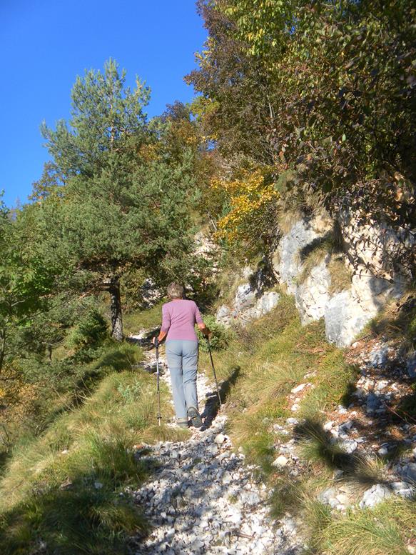 Foto: Wolfgang Lauschensky / Wandertour / Cima Levante 2019m Überschreitung / nahe der Verzweigung