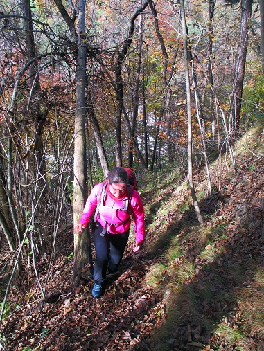 Foto: Andreas Koller / Klettersteigtour / Via ferrata Valimpach (926m) / 13.11.2021 11:08:06