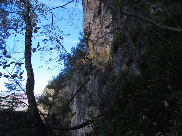 Foto: Andreas Koller / Klettersteigtour / Via ferrata Valimpach (926m) / Einstiegswand / 13.11.2021 11:07:57