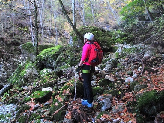 Foto: Andreas Koller / Klettersteigtour / Via ferrata Valimpach (926m) / 13.11.2021 11:06:28