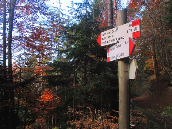 Foto: Andreas Koller / Klettersteigtour / Via ferrata Valimpach (926m) / 13.11.2021 11:02:32