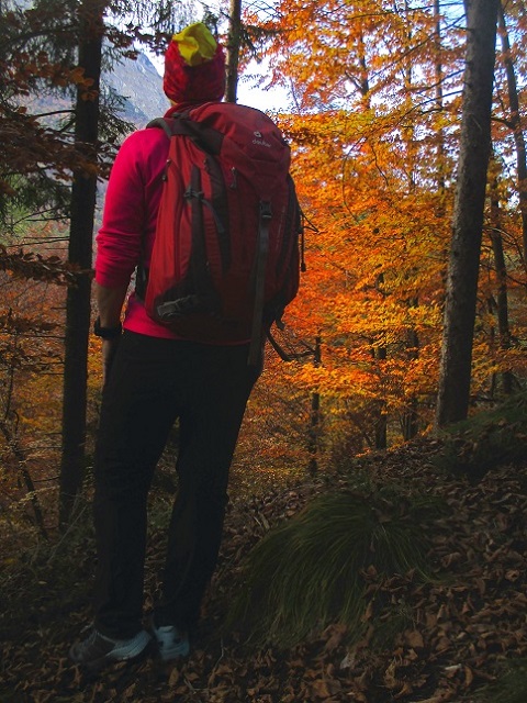 Foto: Andreas Koller / Klettersteigtour / Via ferrata Valimpach (926m) / 13.11.2021 11:02:26