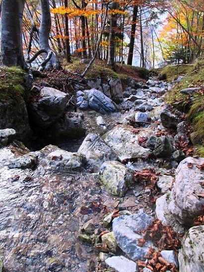 Foto: Andreas Koller / Klettersteigtour / Via ferrata Valimpach (926m) / 13.11.2021 11:02:13
