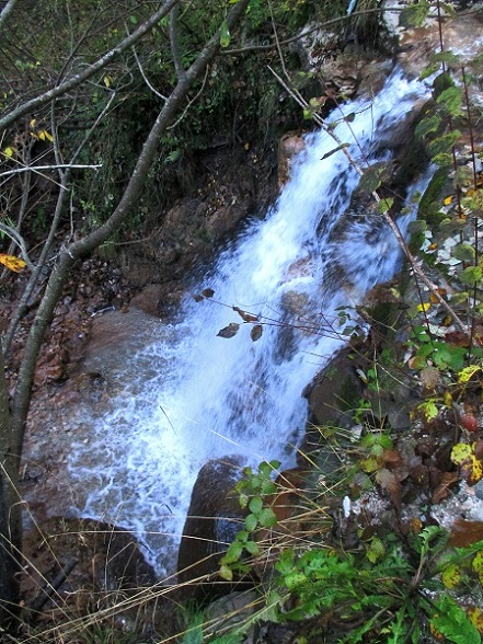Foto: Andreas Koller / Klettersteigtour / Via ferrata Valimpach (926m) / 13.11.2021 11:00:17