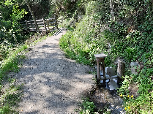Foto: Wolfgang Dröthandl / Wandertour / Leitenwaal und Bergwaal ober Schluderns / Zunächst bergauf zur Waalerschelle / 14.11.2021 22:42:11
