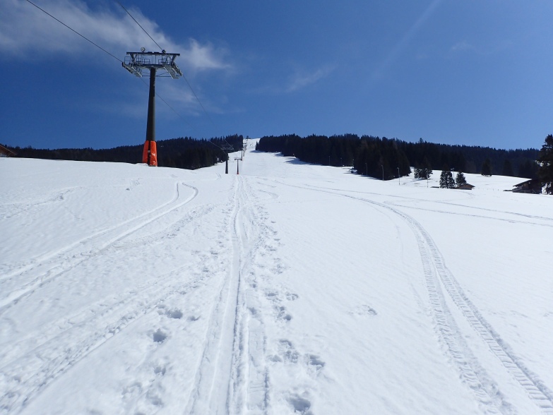 Foto: Manfred Karl / Skitour / Von Dienten auf die Wastlhöhe / Der lange Hang zur Wastlhöhe / 08.12.2021 06:15:08
