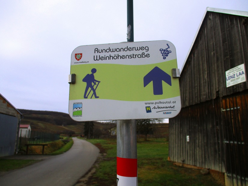 Foto: Andreas Koller / Wandertour / Rundwanderweg Buchbergwald (417m) / Zu den Wanderwegen in Mailberg / 13.12.2021 00:28:32