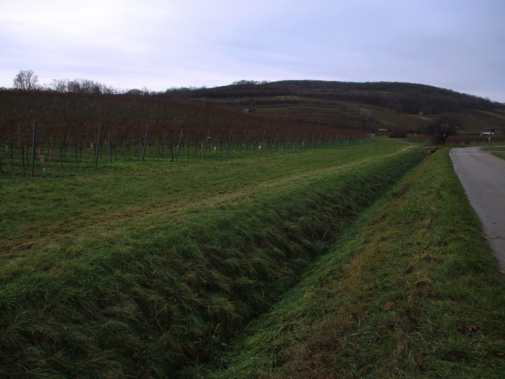 Foto: Andreas Koller / Wandertour / Rundwanderweg Buchbergwald (417m) / 13.12.2021 00:28:06