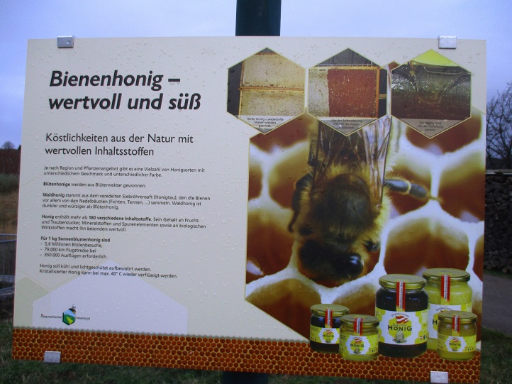 Foto: Andreas Koller / Wandertour / Rundwanderweg Buchbergwald (417m) / Lehrreich! / 13.12.2021 00:27:58