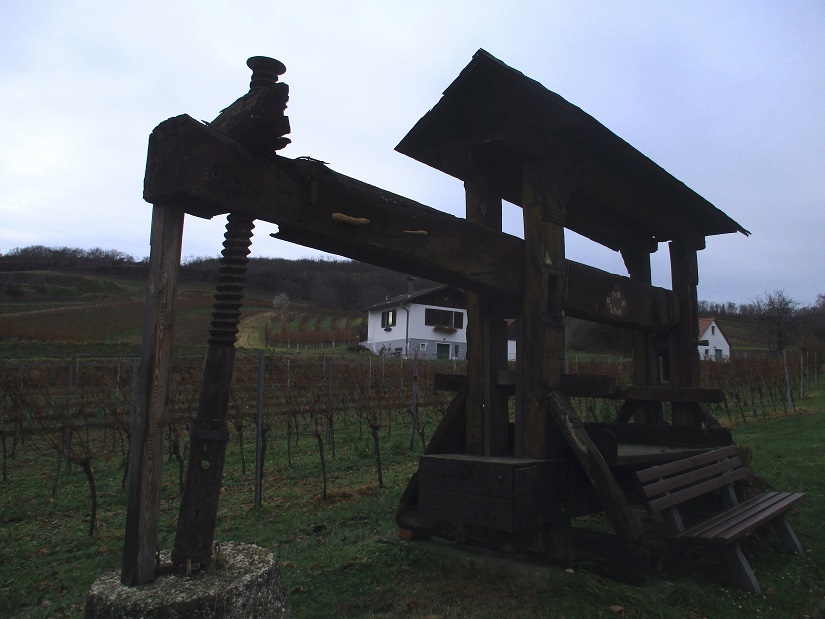 Foto: Andreas Koller / Wandertour / Rundwanderweg Buchbergwald (417m) / 13.12.2021 00:27:39