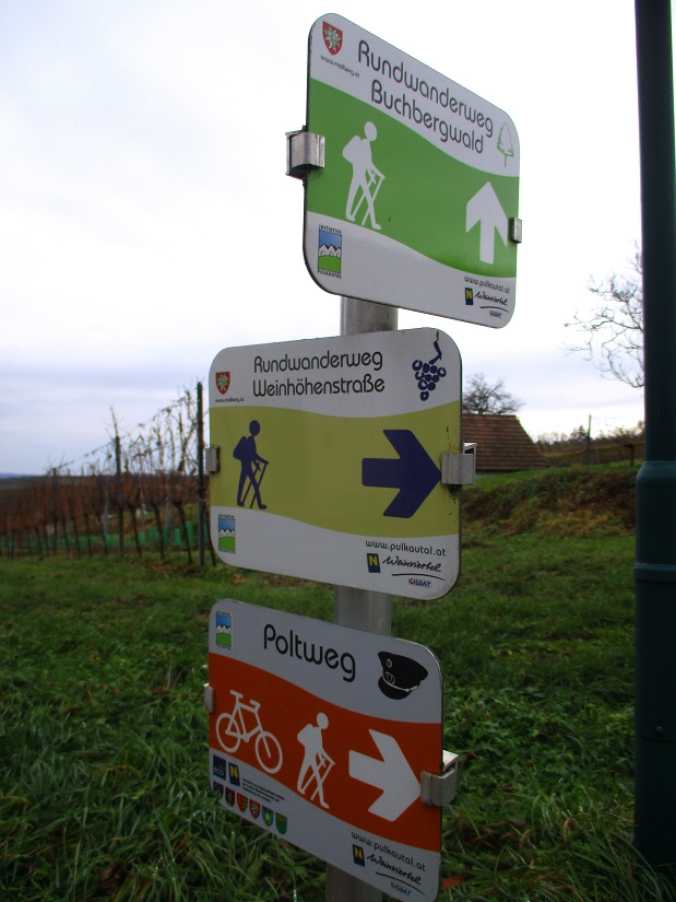 Foto: Andreas Koller / Wandertour / Rundwanderweg Buchbergwald (417m) / 13.12.2021 00:27:22