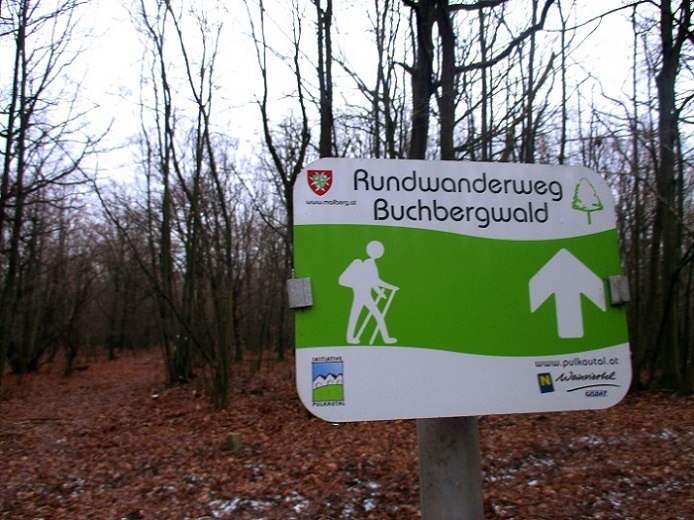 Foto: Andreas Koller / Wandertour / Rundwanderweg Buchbergwald (417m) / 13.12.2021 00:25:44