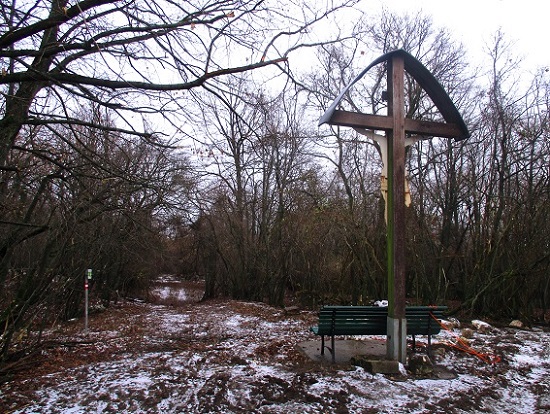 Foto: Andreas Koller / Wandertour / Rundwanderweg Buchbergwald (417m) / 13.12.2021 00:25:07