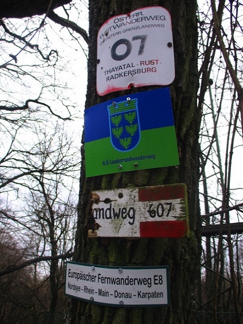 Foto: Andreas Koller / Wandertour / Rundwanderweg Buchbergwald (417m) / 13.12.2021 00:25:00