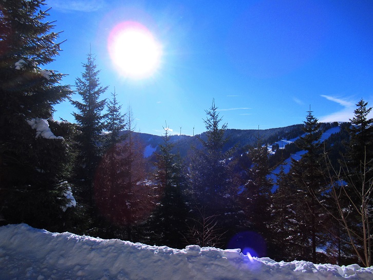 Foto: Andreas Koller / Skitour / Einsteigertour Ofnerkogel (1666m) / 14.12.2021 23:22:18