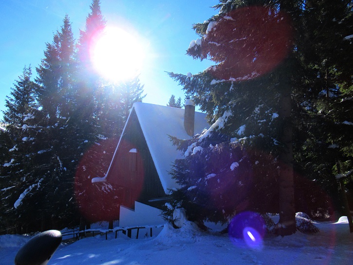 Foto: Andreas Koller / Skitour / Einsteigertour Ofnerkogel (1666m) / 14.12.2021 23:22:12