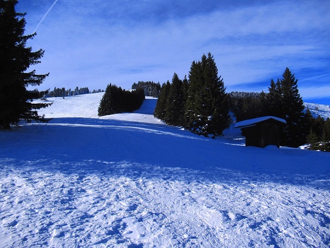 Foto: Andreas Koller / Skitour / Einsteigertour Ofnerkogel (1666m) / 14.12.2021 23:22:07