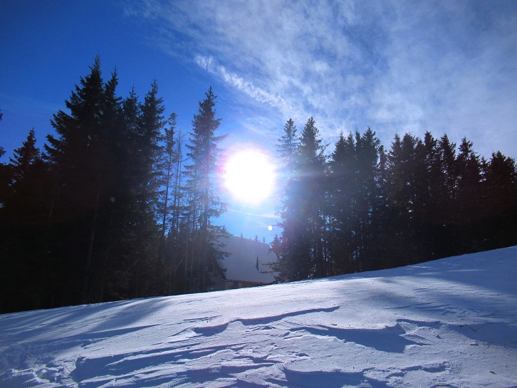 Foto: Andreas Koller / Skitour / Einsteigertour Ofnerkogel (1666m) / 14.12.2021 23:21:58