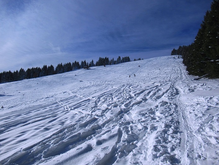 Foto: Andreas Koller / Skitour / Einsteigertour Ofnerkogel (1666m) / 14.12.2021 23:21:53