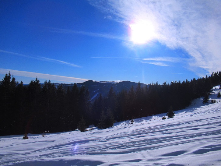 Foto: Andreas Koller / Skitour / Einsteigertour Ofnerkogel (1666m) / 14.12.2021 23:21:47