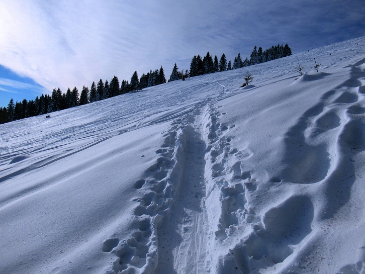 Foto: Andreas Koller / Skitour / Einsteigertour Ofnerkogel (1666m) / 14.12.2021 23:21:31