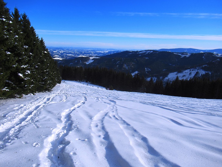 Foto: Andreas Koller / Skitour / Einsteigertour Ofnerkogel (1666m) / 14.12.2021 23:21:24