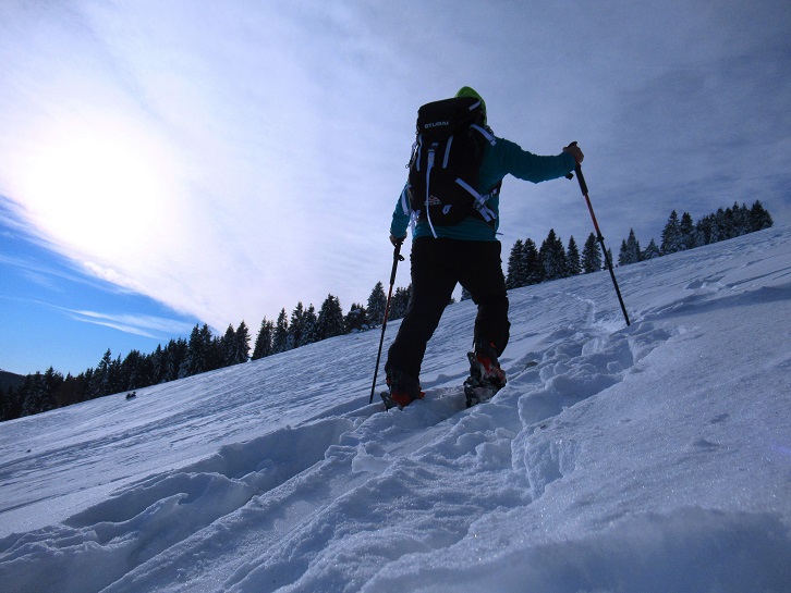 Foto: Andreas Koller / Skitour / Einsteigertour Ofnerkogel (1666m) / 14.12.2021 23:21:18