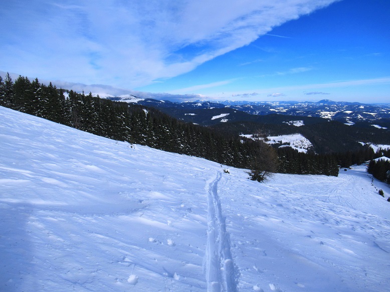 Foto: Andreas Koller / Skitour / Einsteigertour Ofnerkogel (1666m) / 14.12.2021 23:21:04