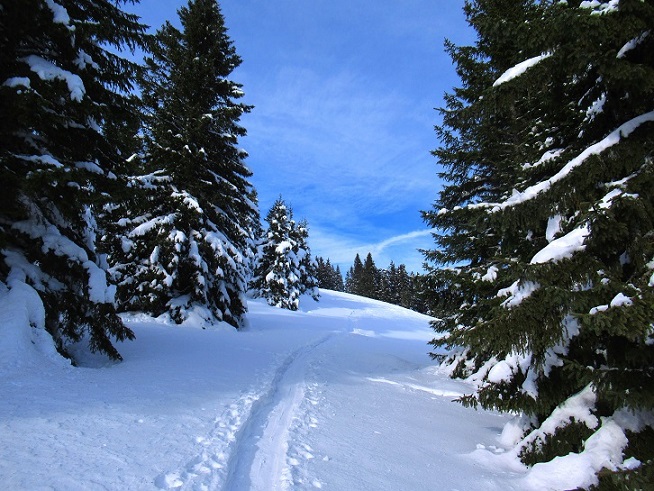Foto: Andreas Koller / Skitour / Einsteigertour Ofnerkogel (1666m) / 14.12.2021 23:20:47