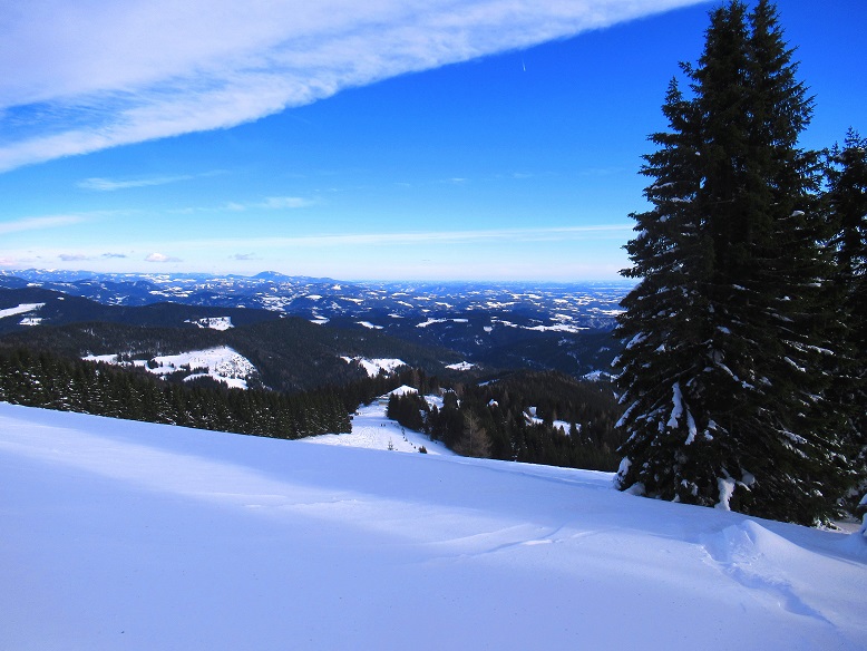 Foto: Andreas Koller / Skitour / Einsteigertour Ofnerkogel (1666m) / 14.12.2021 23:19:51