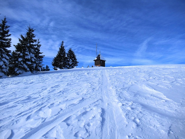 Foto: Andreas Koller / Skitour / Einsteigertour Ofnerkogel (1666m) / 14.12.2021 23:19:40