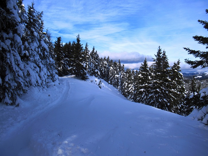 Foto: Andreas Koller / Skitour / Einsteigertour Ofnerkogel (1666m) / 14.12.2021 23:19:34