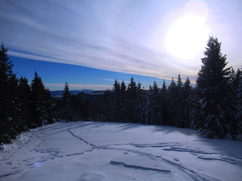 Foto: Andreas Koller / Skitour / Einsteigertour Ofnerkogel (1666m) / 14.12.2021 23:18:11