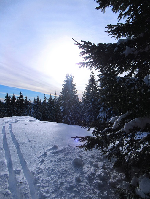 Foto: Andreas Koller / Skitour / Einsteigertour Ofnerkogel (1666m) / Am höchsten Punkt des Ofnerkogel / 14.12.2021 23:17:53