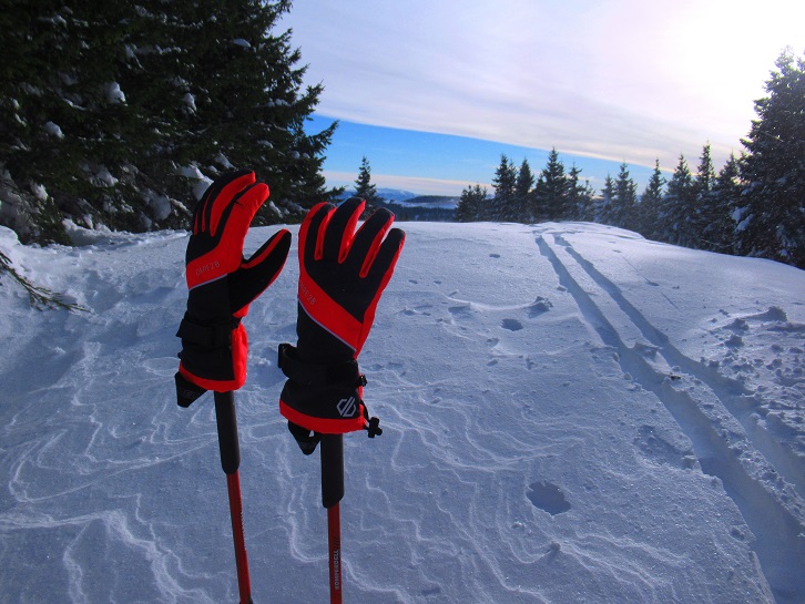 Foto: Andreas Koller / Skitour / Einsteigertour Ofnerkogel (1666m) / 14.12.2021 23:16:36
